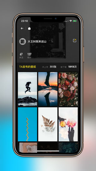 纸塘壁纸app预览图3