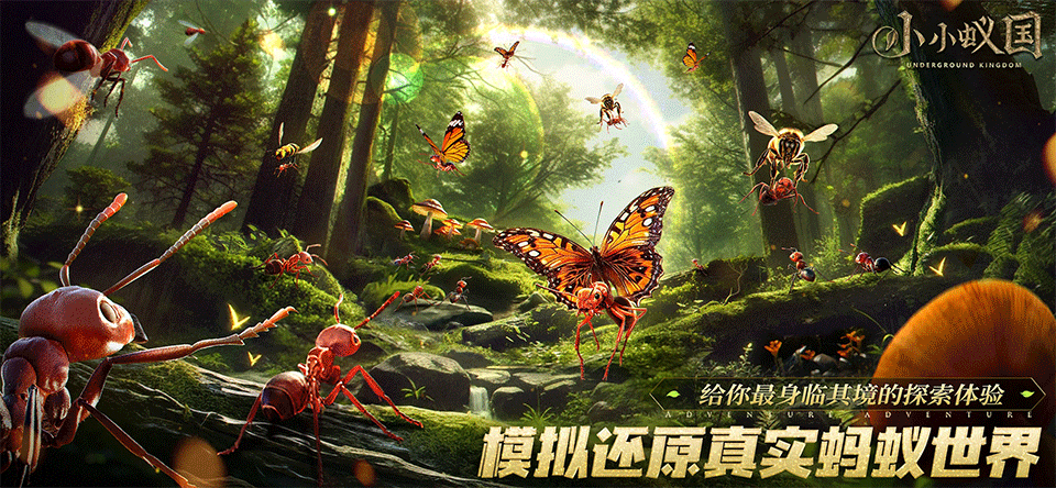小小蚁国国际服(The Ants)3